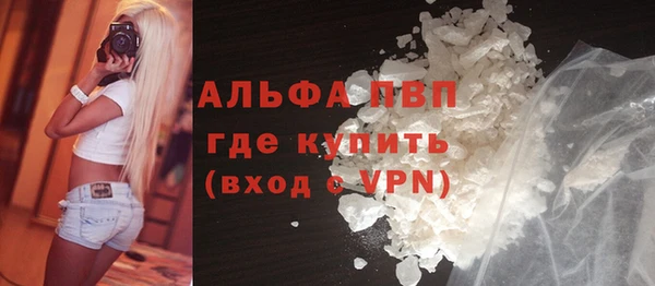 Альфа ПВП Новозыбков