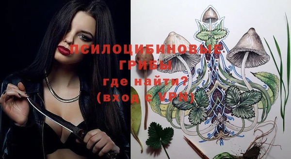 Альфа ПВП Новозыбков