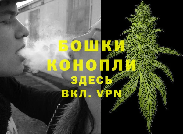 Альфа ПВП Новозыбков