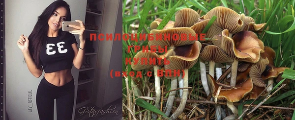 герыч Нягань