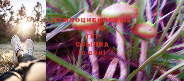 спайс Новодвинск