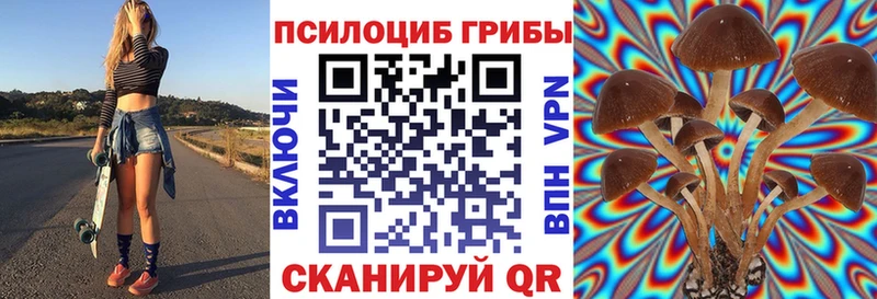 Псилоцибиновые грибы Psilocybine cubensis  МЕГА   Нерехта 